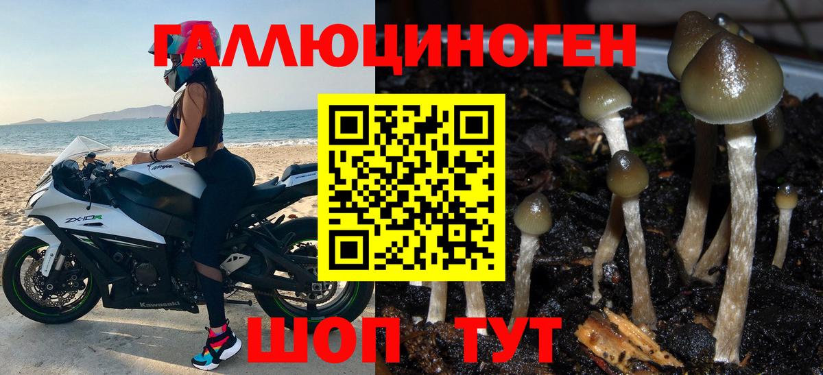 Псилоцибиновые грибы Magic Shrooms Новокубанск